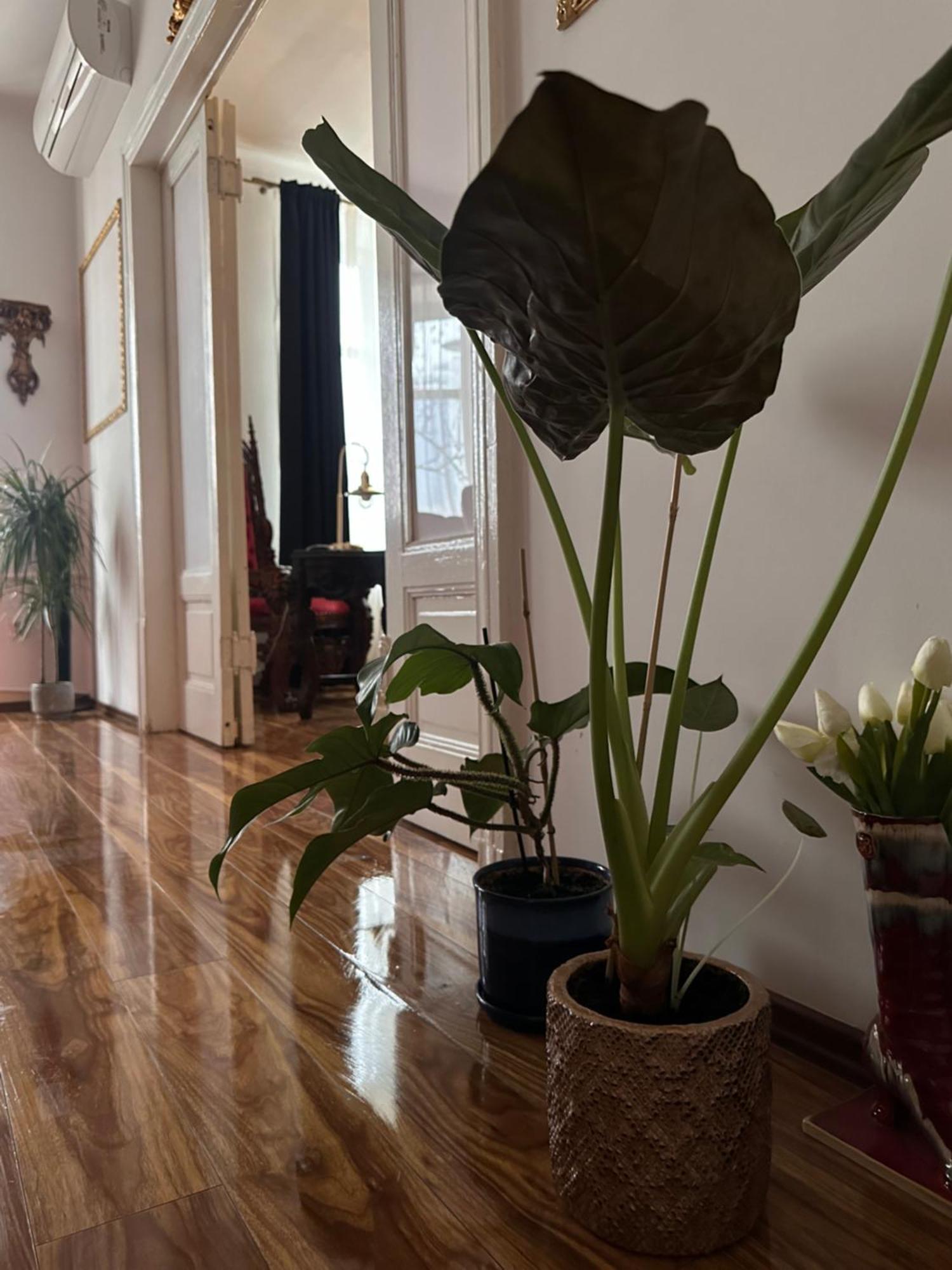 ורשה Exclusive Apartment Chmielna Street 95M2 מראה חיצוני תמונה